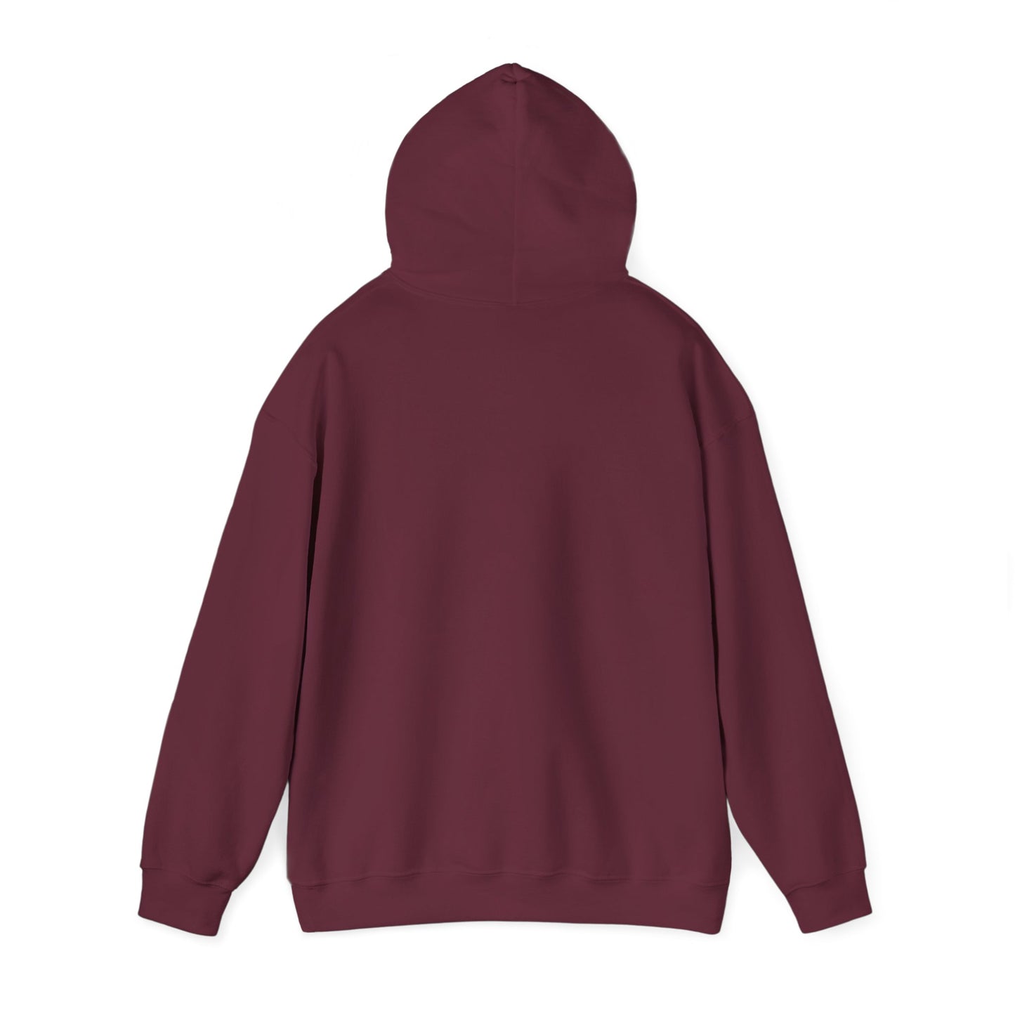 Space Coast Retro Unisex Heavy Blend™ Hooded Sweatshirt