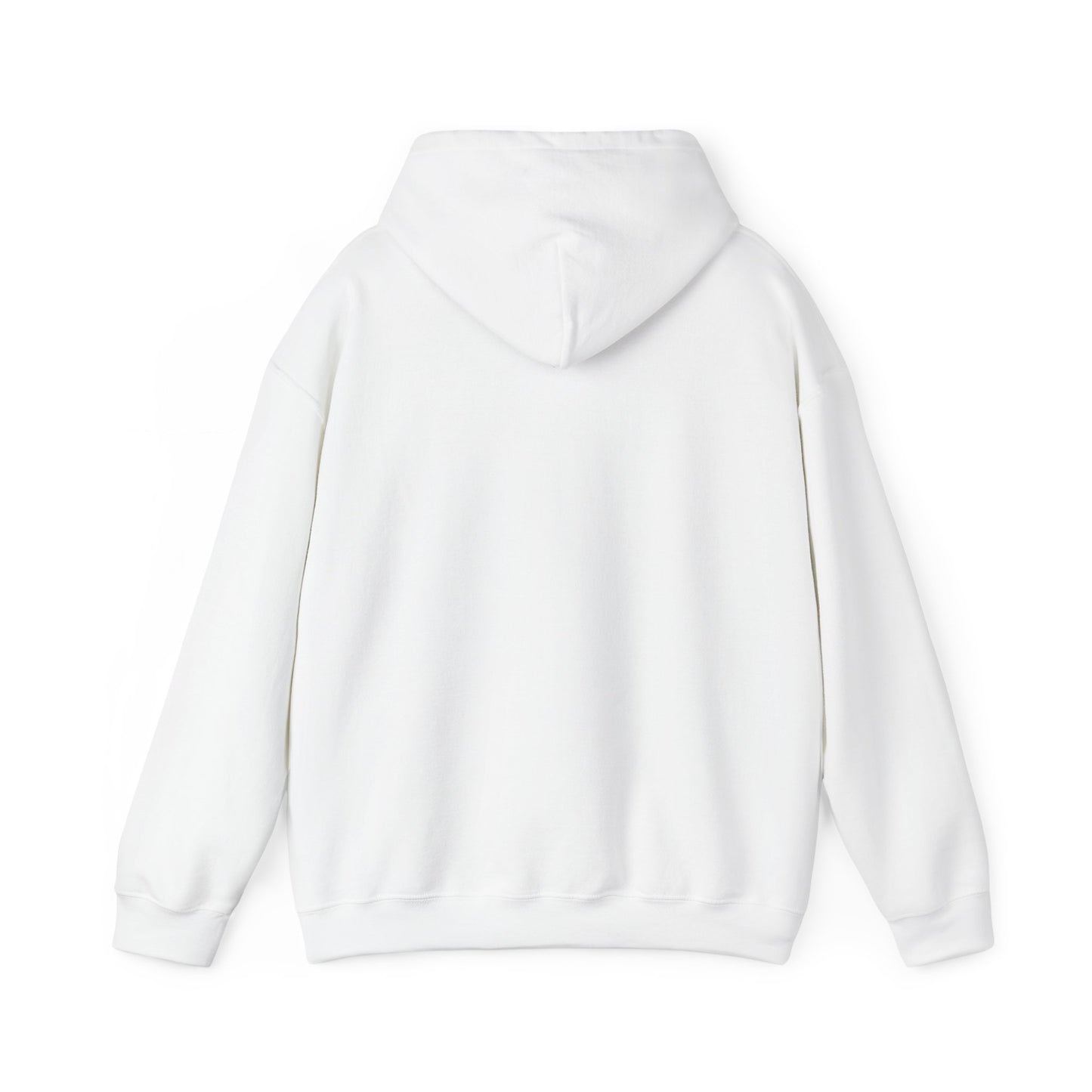 Space Coast Retro Unisex Heavy Blend™ Hooded Sweatshirt