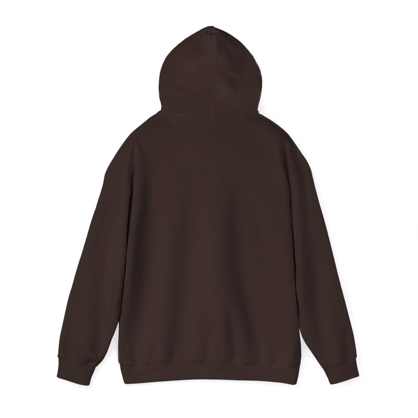 Space Coast Retro Unisex Heavy Blend™ Hooded Sweatshirt