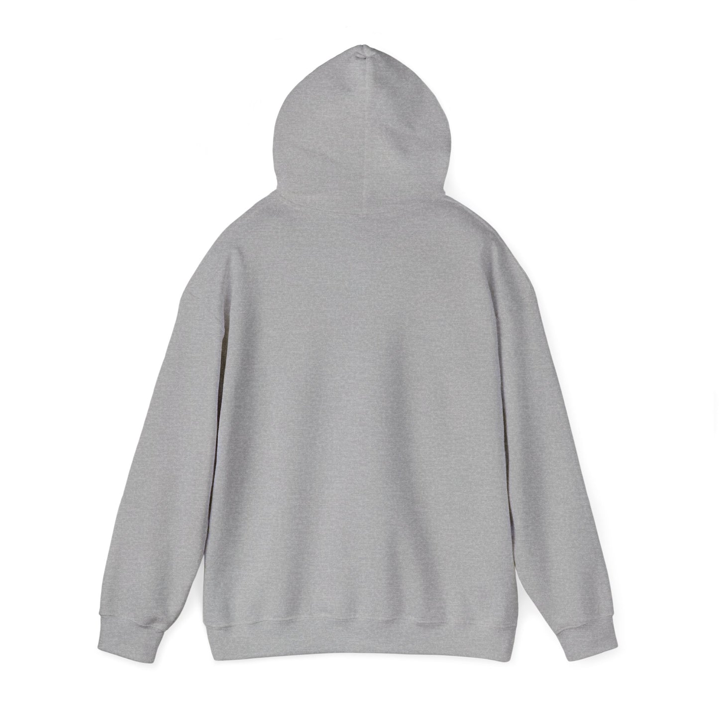 Space Coast Retro Unisex Heavy Blend™ Hooded Sweatshirt