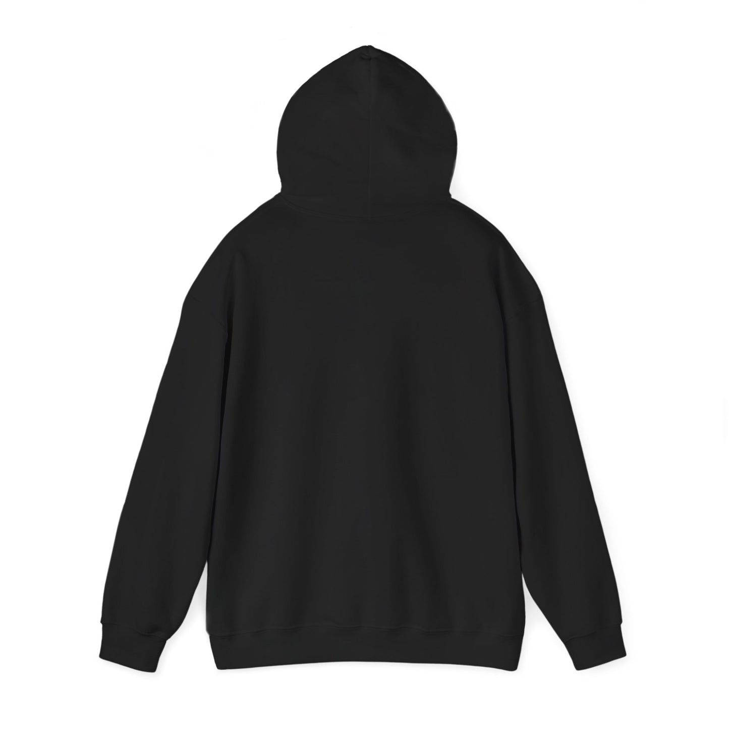 Space Coast Retro Unisex Heavy Blend™ Hooded Sweatshirt