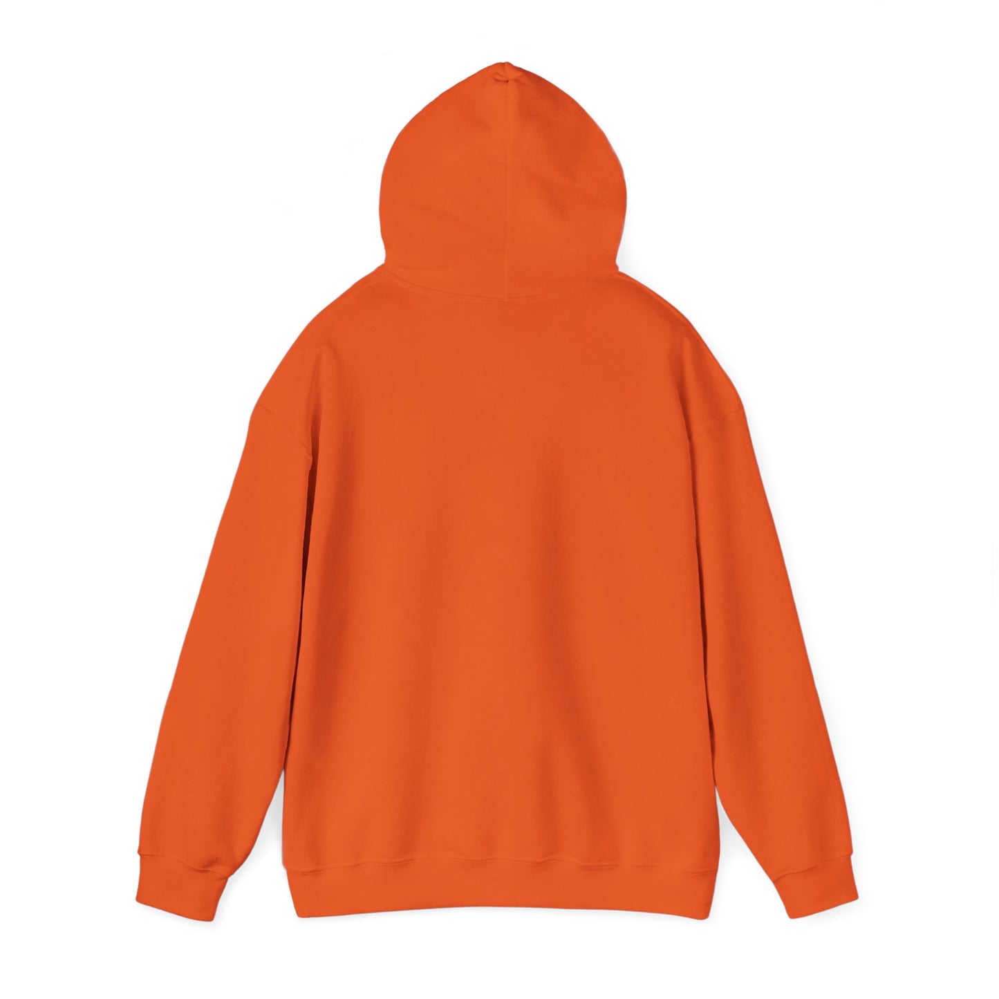 Space Coast Retro Unisex Heavy Blend™ Hooded Sweatshirt