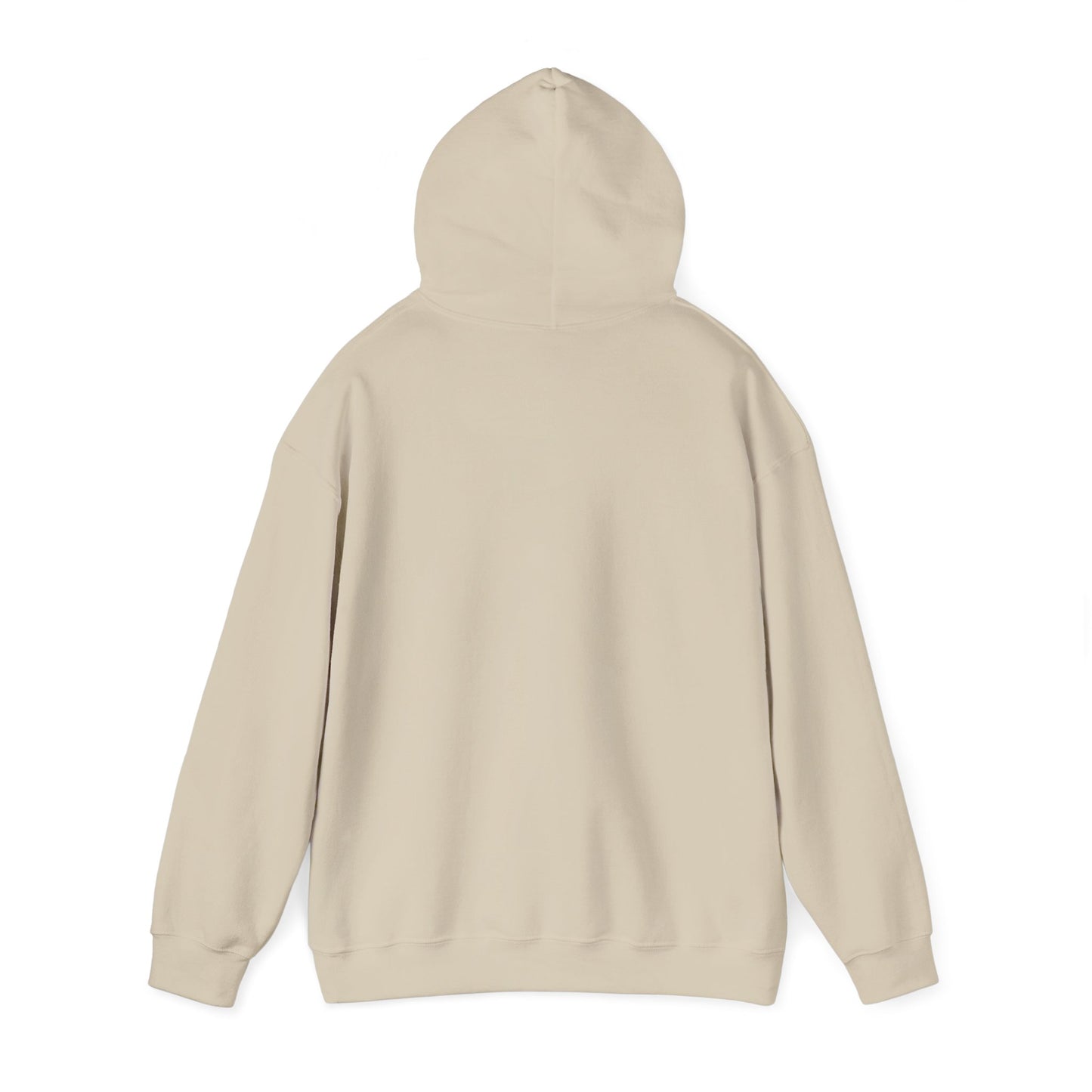 Space Coast Retro Unisex Heavy Blend™ Hooded Sweatshirt