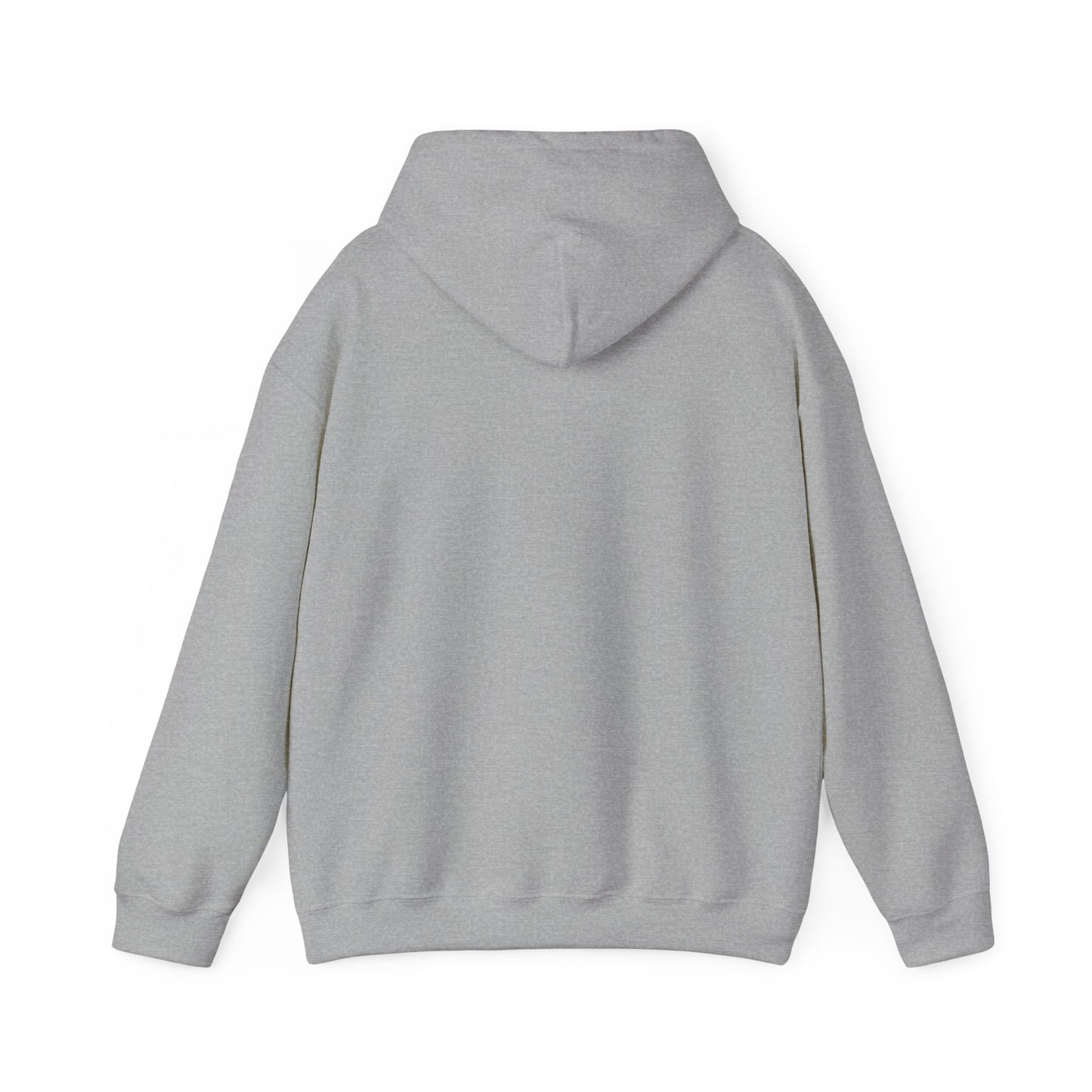 Space Coast Retro Unisex Heavy Blend™ Hooded Sweatshirt