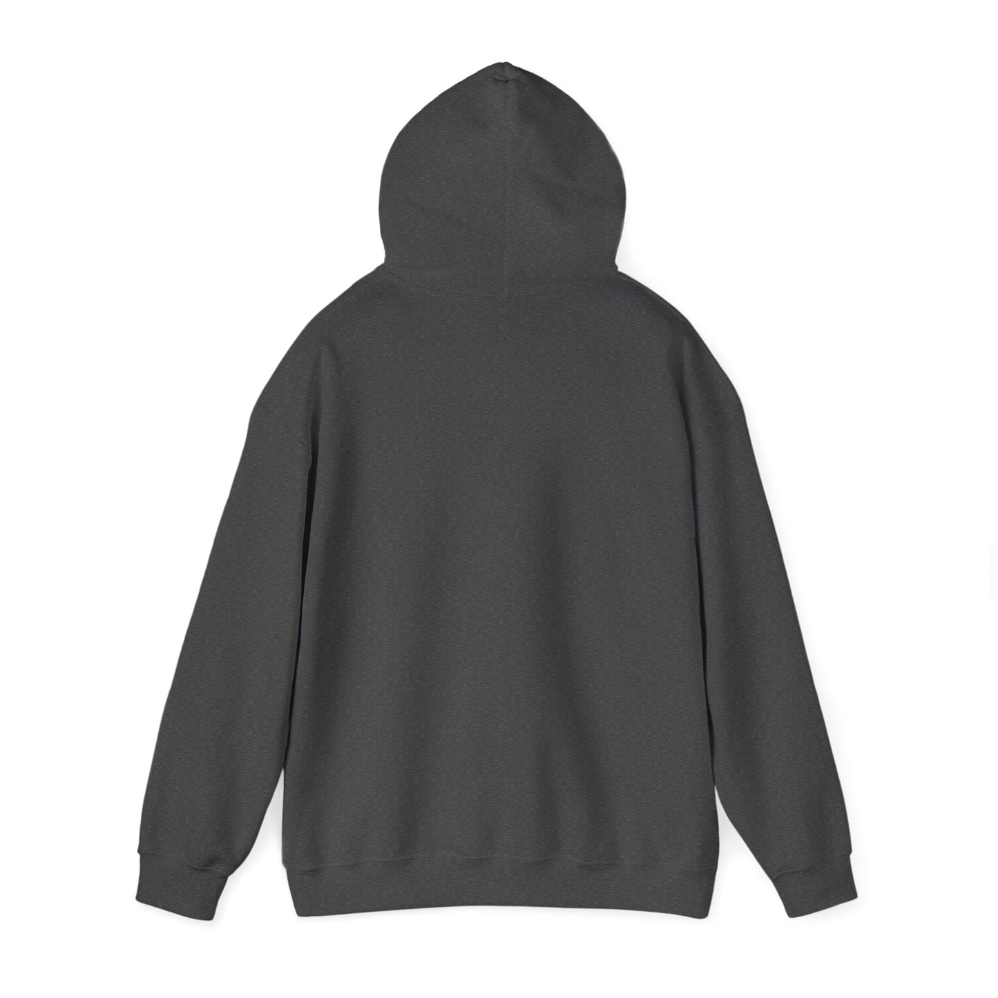 Space Coast Retro Unisex Heavy Blend™ Hooded Sweatshirt