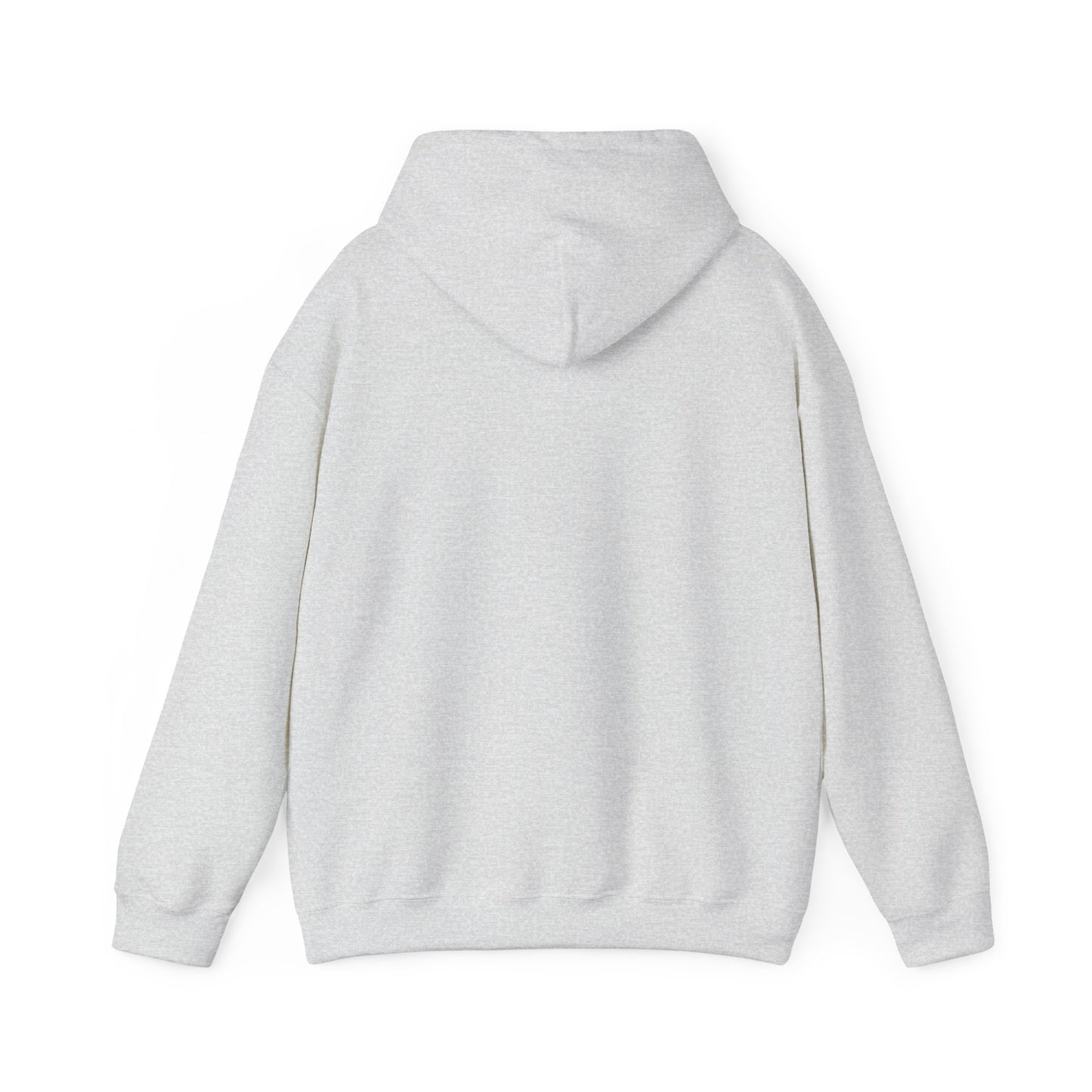Space Coast Retro Unisex Heavy Blend™ Hooded Sweatshirt