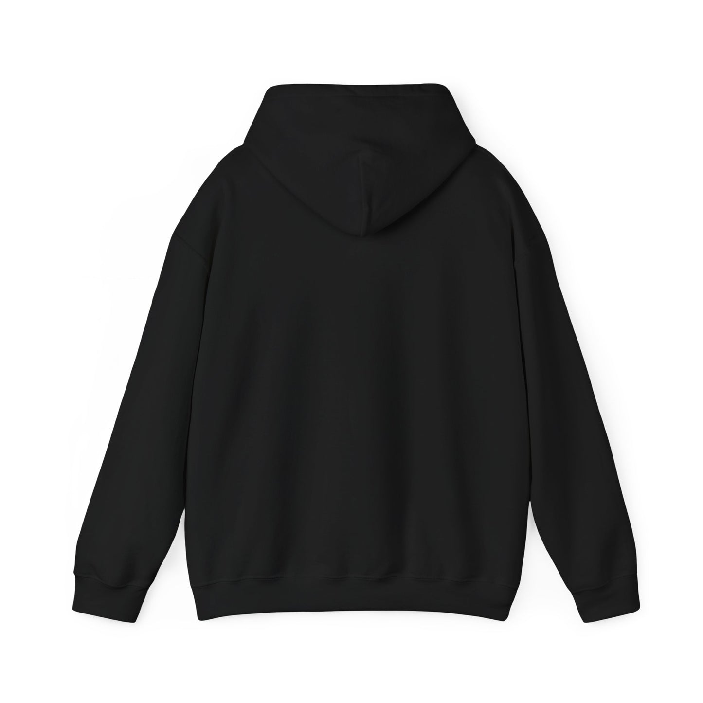 Space Coast Retro Unisex Heavy Blend™ Hooded Sweatshirt