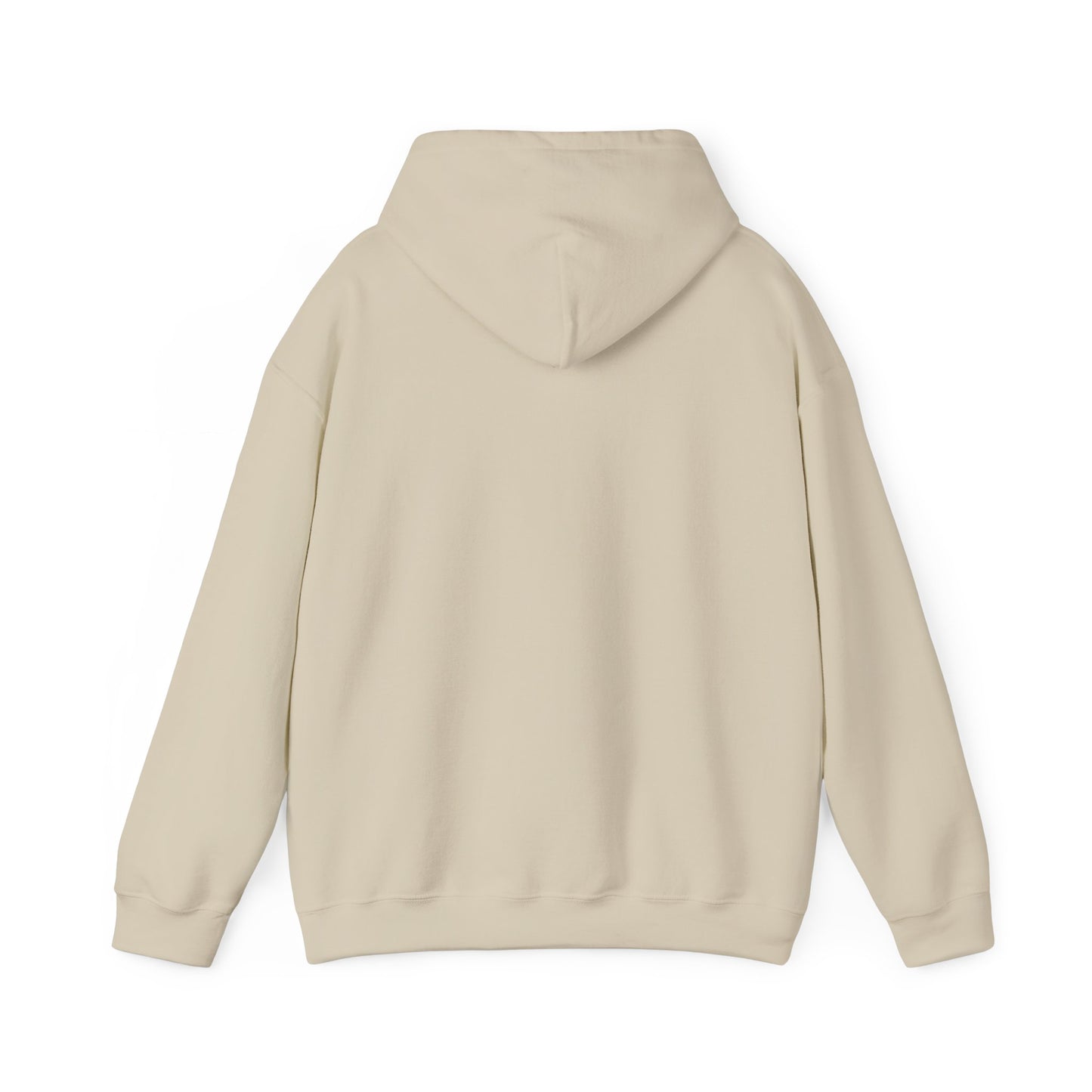 Space Coast Retro Unisex Heavy Blend™ Hooded Sweatshirt