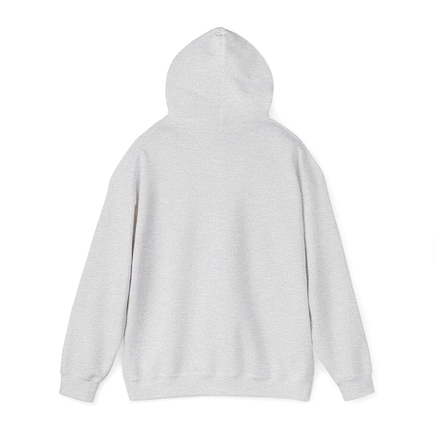 Space Coast Retro Unisex Heavy Blend™ Hooded Sweatshirt