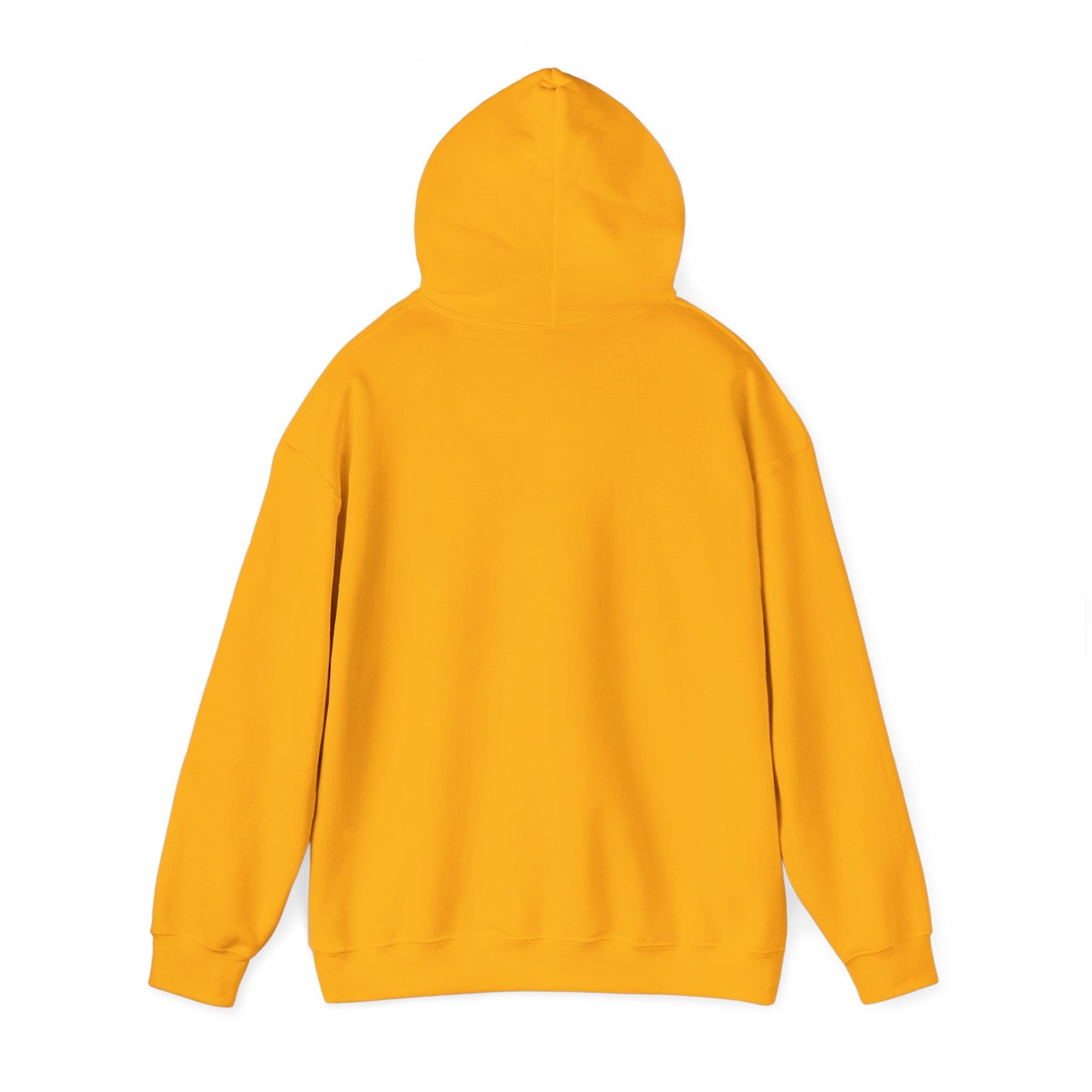 Space Coast Retro Unisex Heavy Blend™ Hooded Sweatshirt