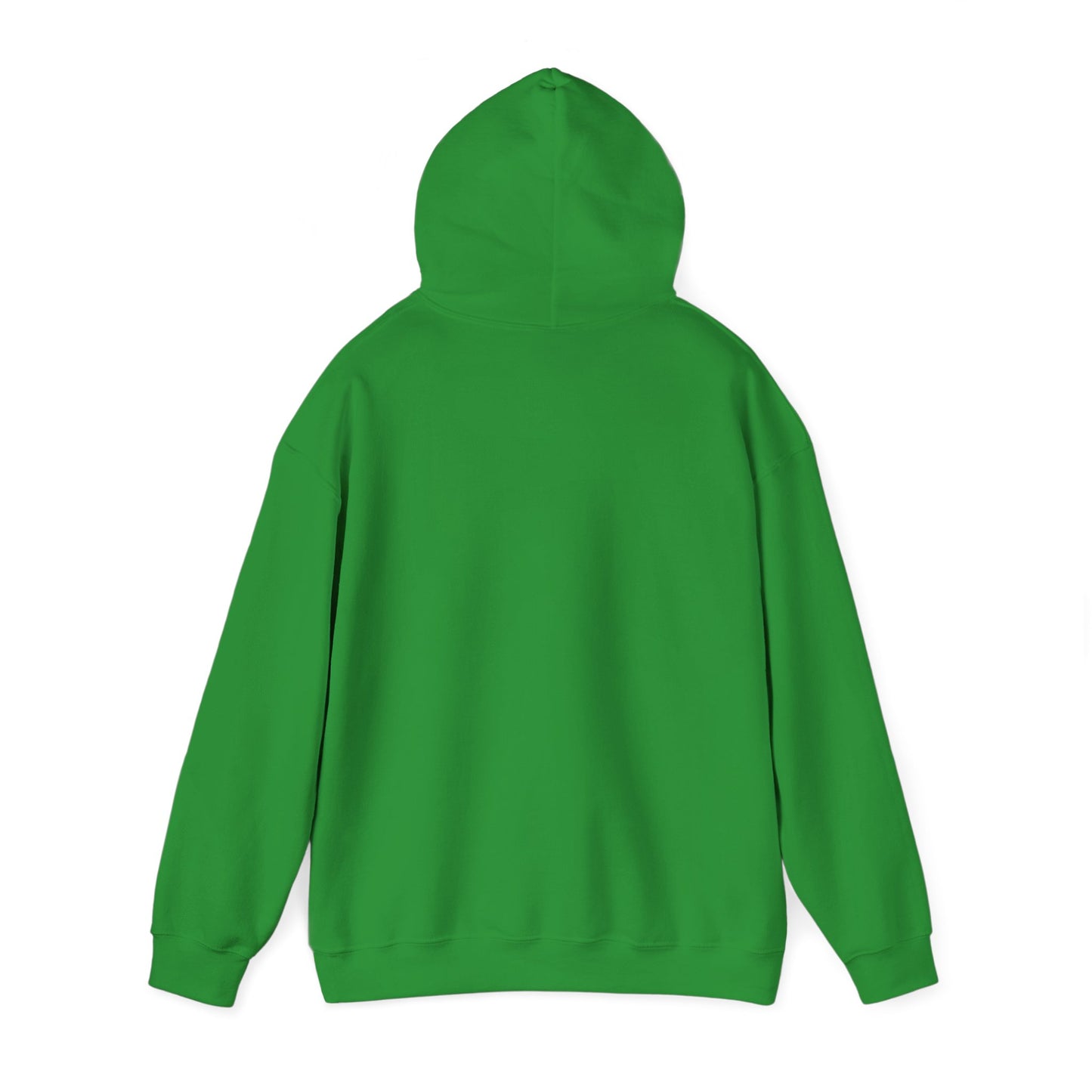 Space Coast Retro Unisex Heavy Blend™ Hooded Sweatshirt