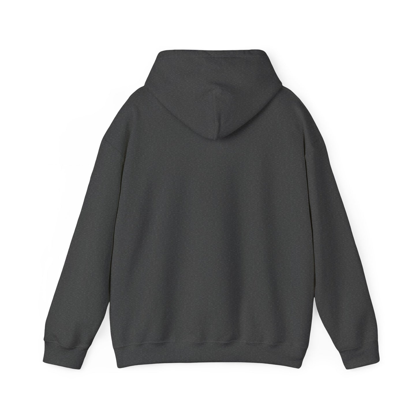 Space Coast Retro Unisex Heavy Blend™ Hooded Sweatshirt