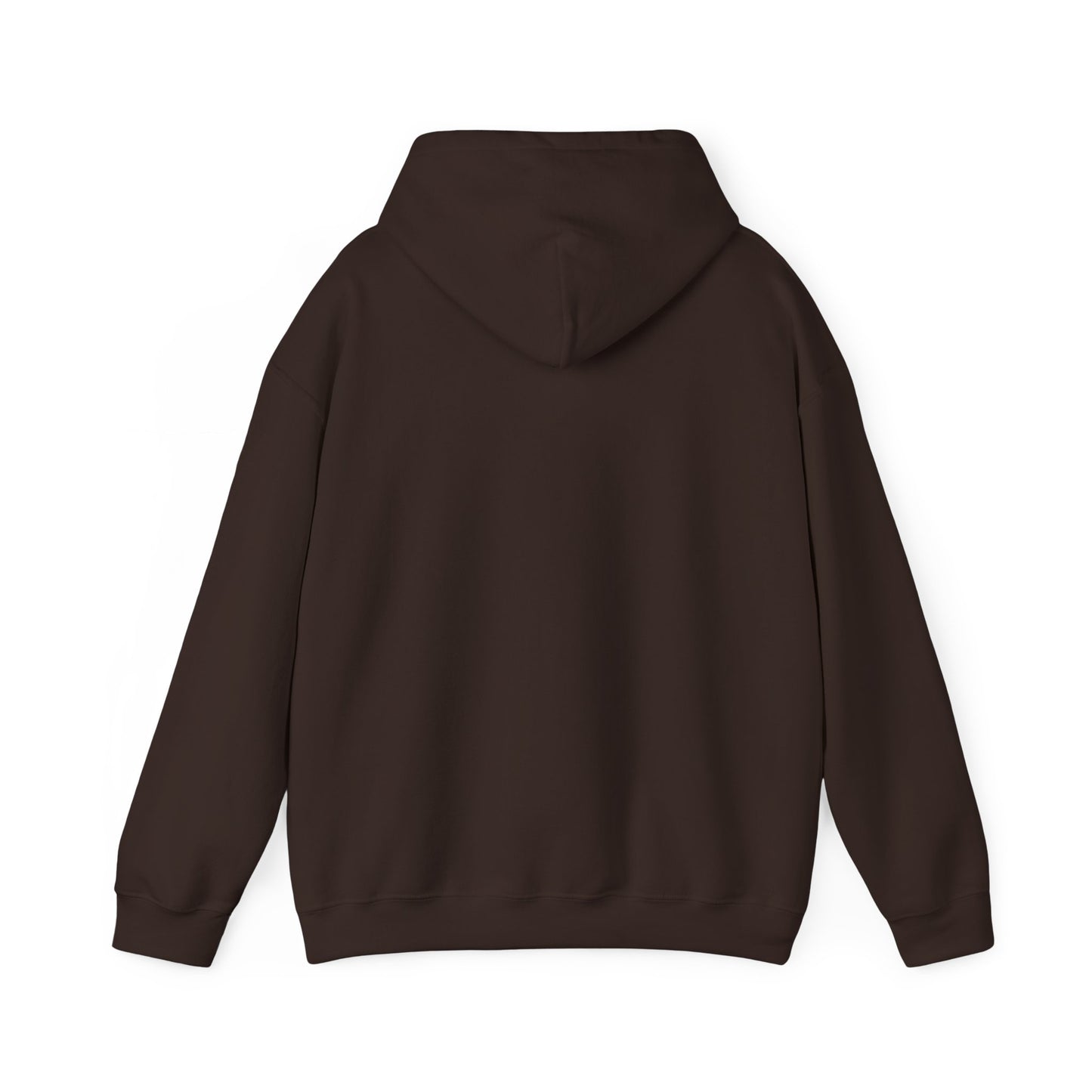 Space Coast Retro Unisex Heavy Blend™ Hooded Sweatshirt