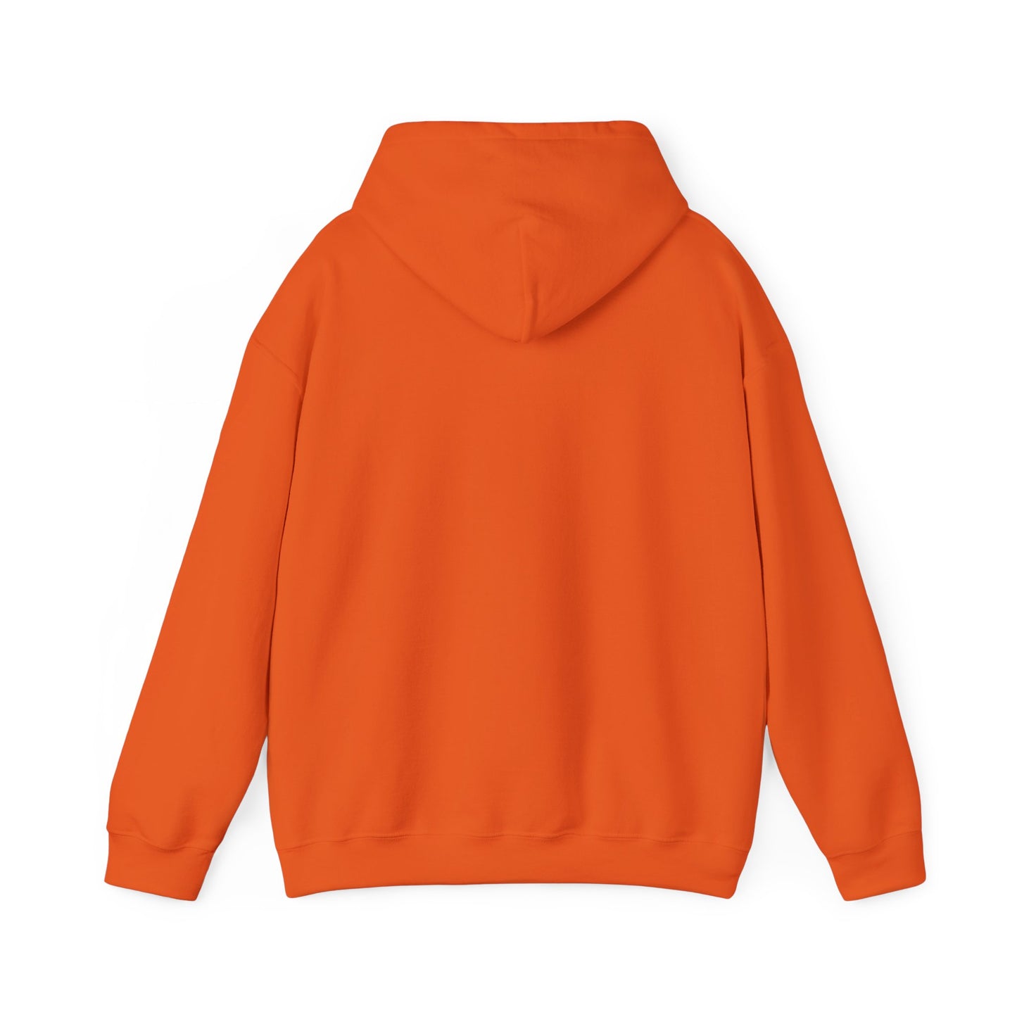 Space Coast Retro Unisex Heavy Blend™ Hooded Sweatshirt