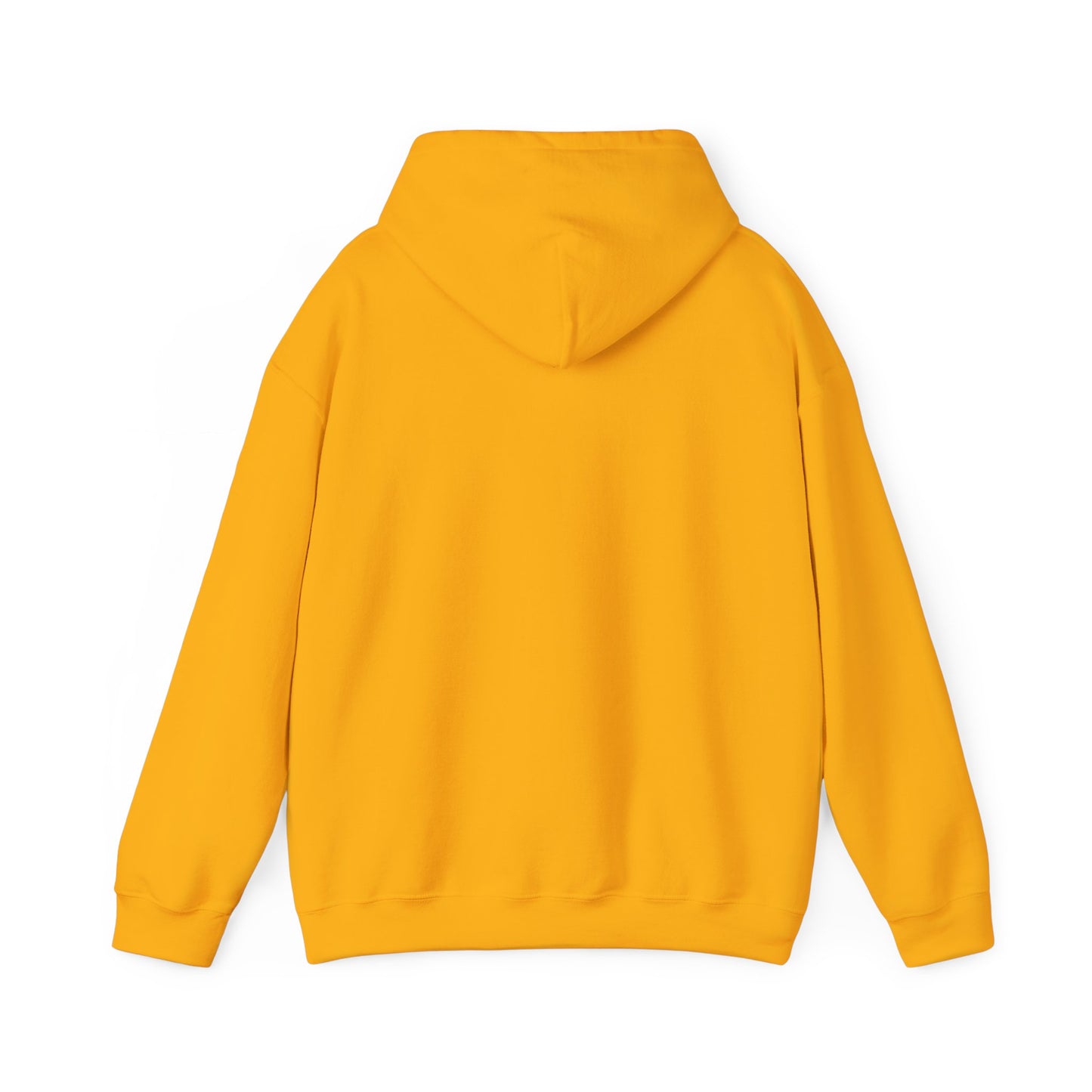 Space Coast Retro Unisex Heavy Blend™ Hooded Sweatshirt