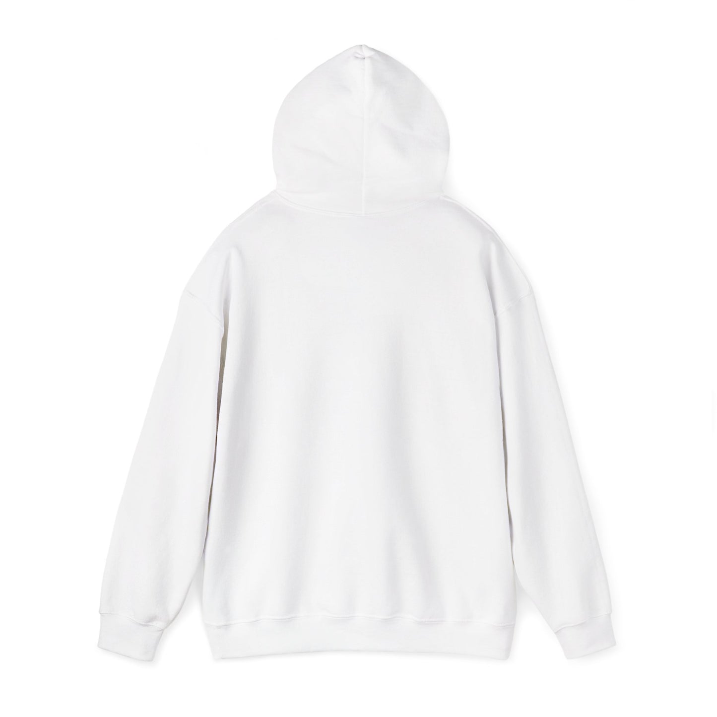 Space Coast Retro Unisex Heavy Blend™ Hooded Sweatshirt