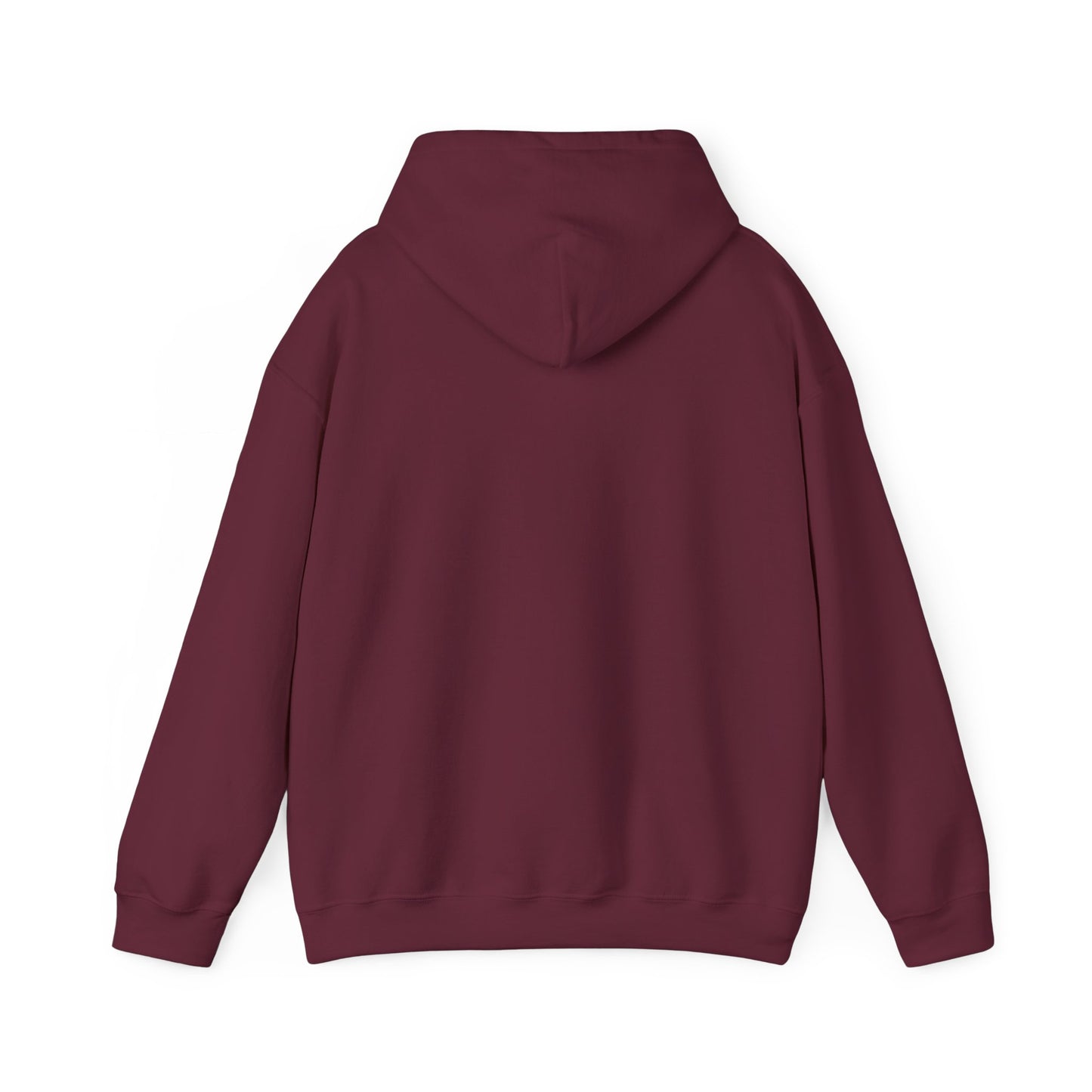 Space Coast Retro Unisex Heavy Blend™ Hooded Sweatshirt